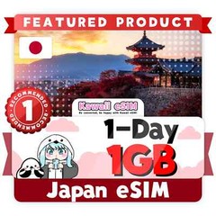 Japan eSIM 1-Day Plan | Instant Activation | Trial Price for Travelers
