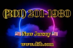 Vanity Easy Phone Number (201) 201-1980 yearly Number New Jersey