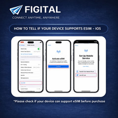 Japan Travel eSIM – KDDI / Rakuten / SoftBank / NTT Docomo (via email)