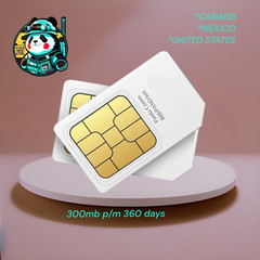 IOT Data SIM Card 300mb p/month 360day ANYSECU GLOBAL-PTT USA CANADA MEXICO