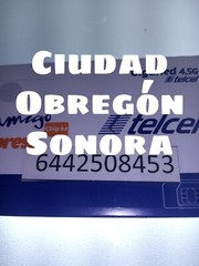 Telcel Sim Card LADA 644 de Ciudad ObregónSonora MEXiCO