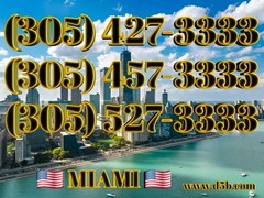 305 MIAMI VANITY Easy Phone Number (305) XYZ-3333 OUTSTANDING